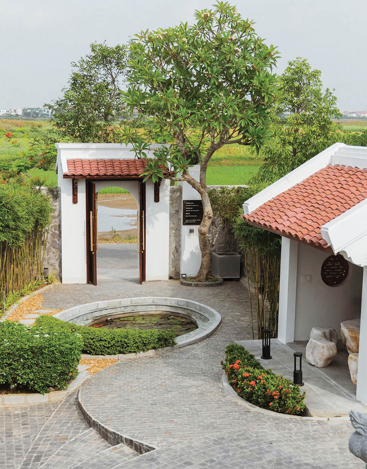 “Con lại về úp mặt vào sông quê  ”