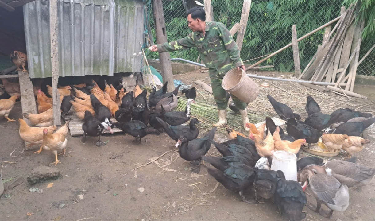 Đảng viên vùng cao nêu gương trong phát triển kinh tế