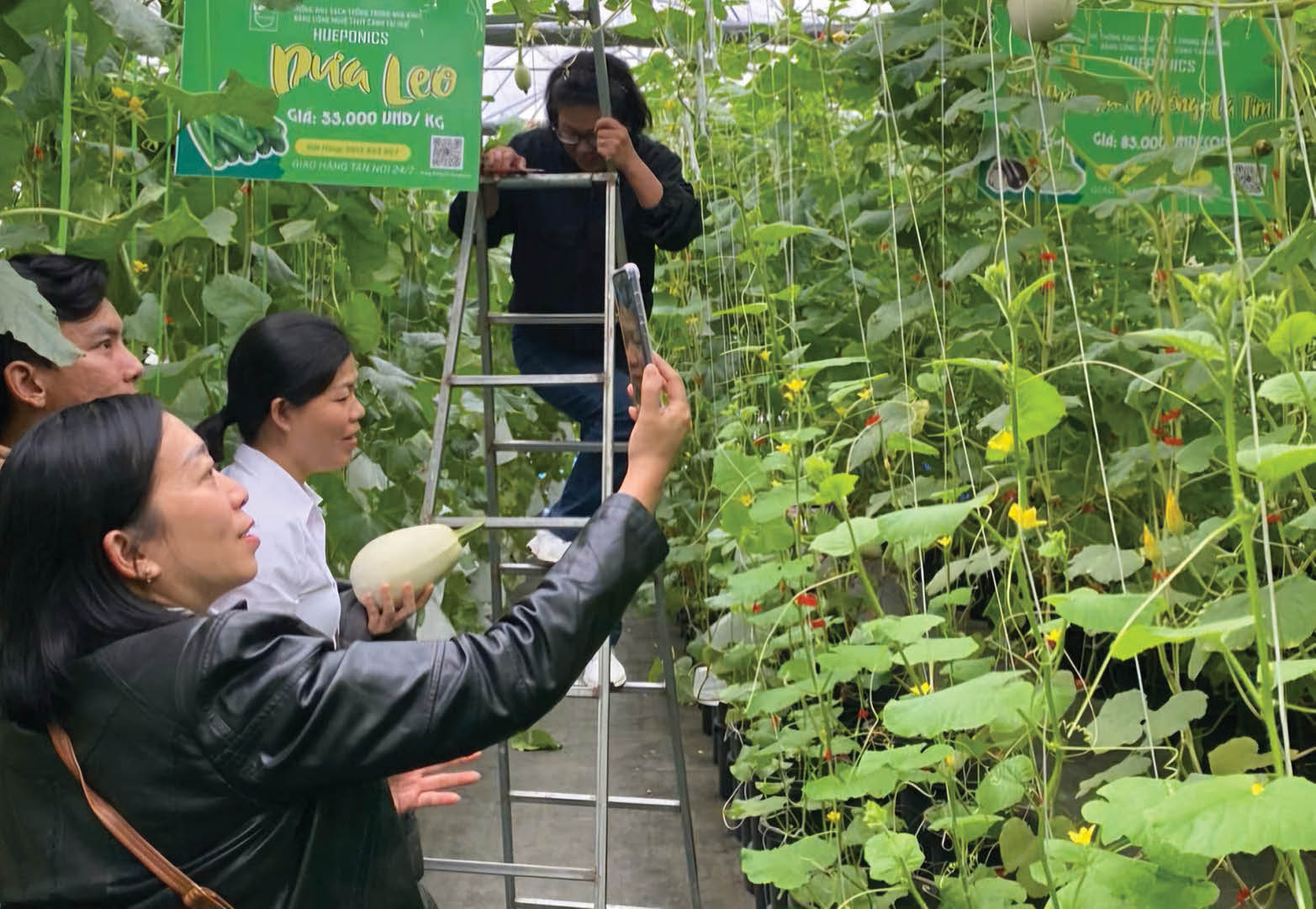 Giảm nghèo bền vững ở Hương Thủy