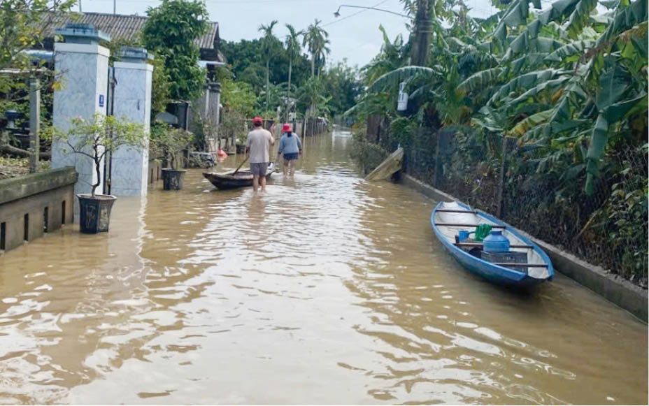 Lũ qua, mùa màng bội thu sẽ tới