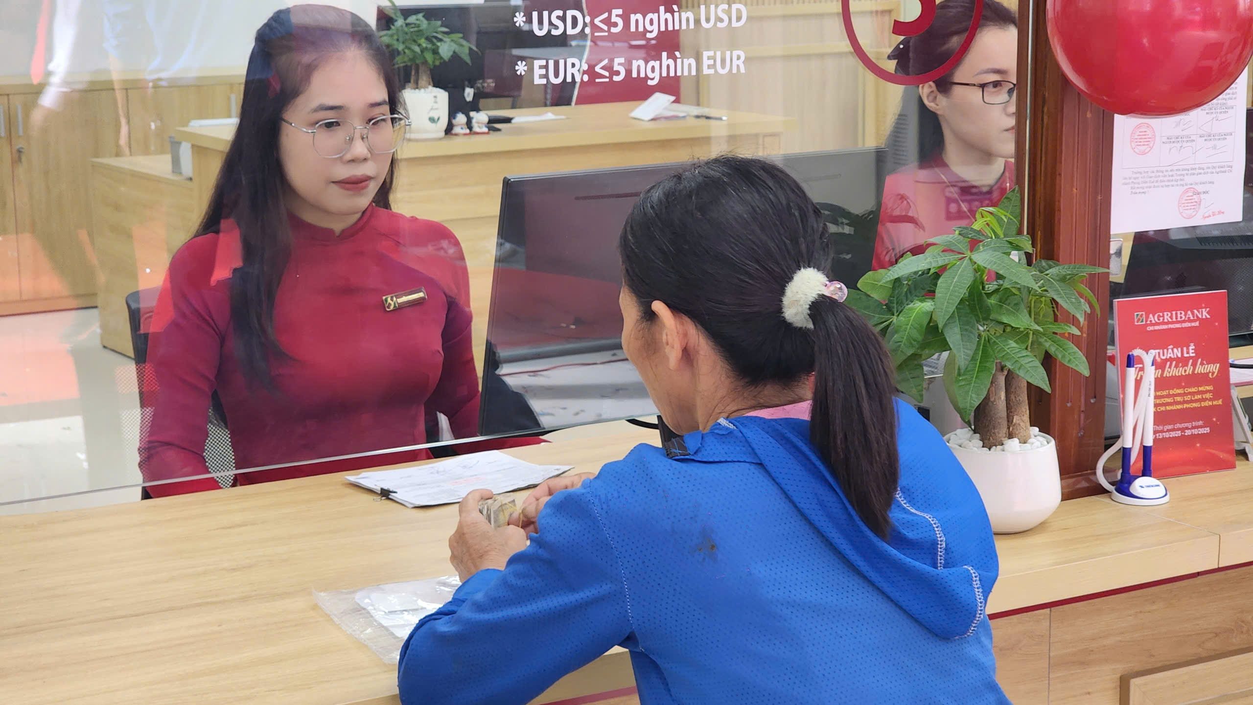 Hỗ trợ vay vốn tái sản xuất sau mưa lũ