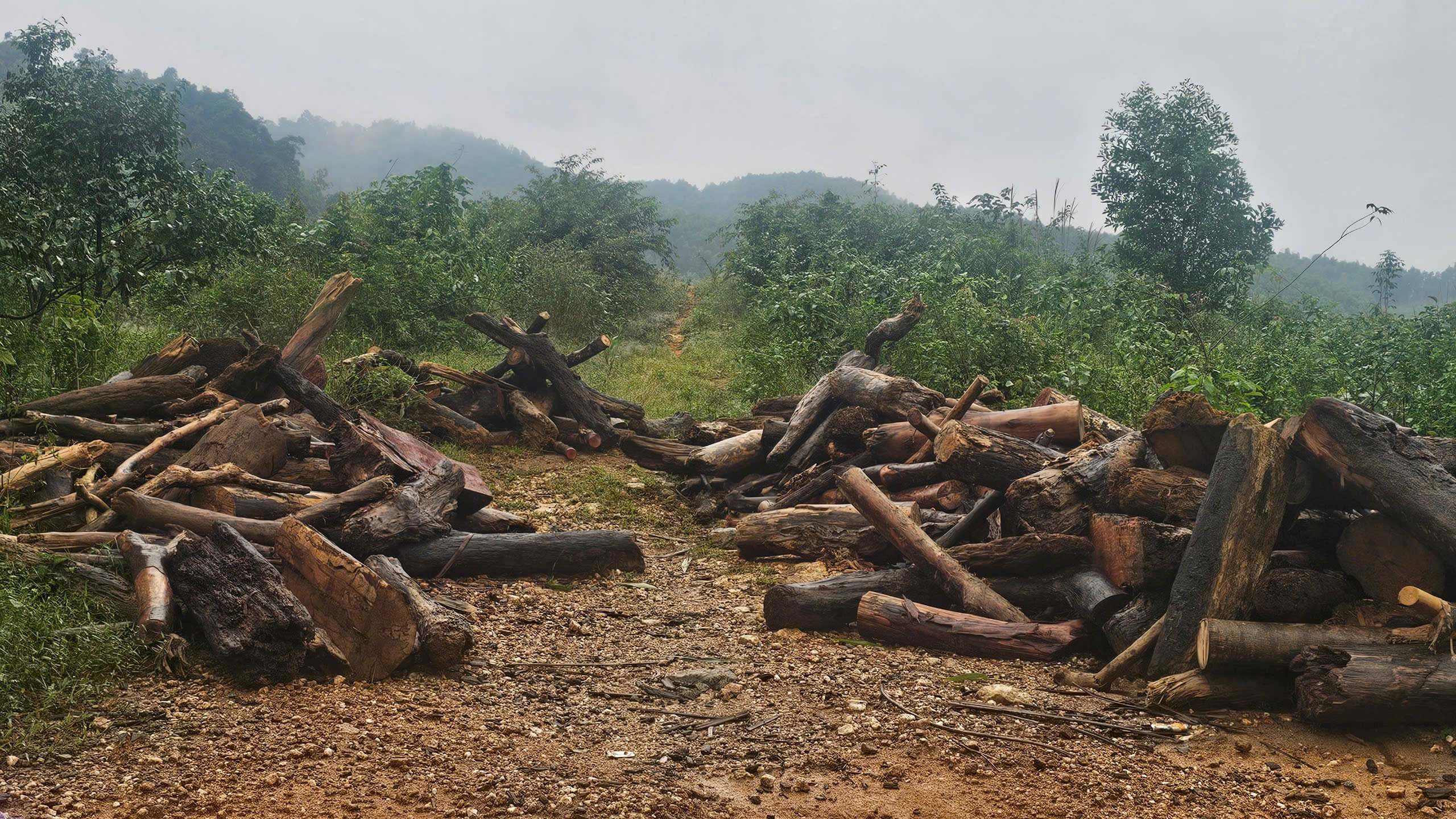 Trục vớt gỗ, đảm bảo an toàn đập