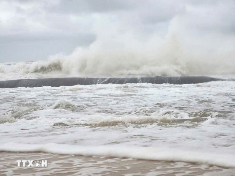 Các tỉnh từ Quảng Trị đến An Giang cần chủ động ứng phó với áp thấp nhiệt đới