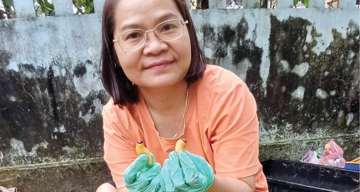 Những mô hình sinh kế “độc, lạ” ở Bình Điền