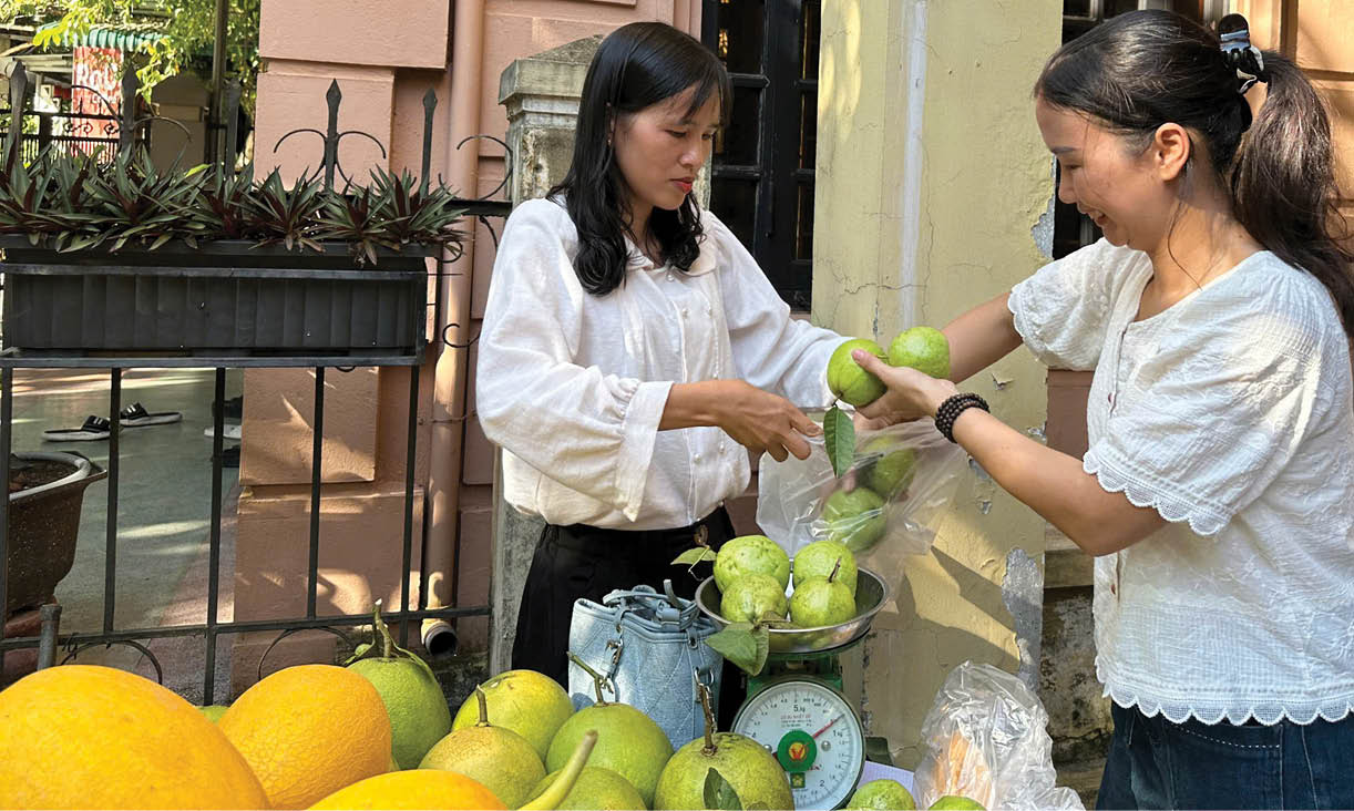 Động lực kép của kinh tế tập thể