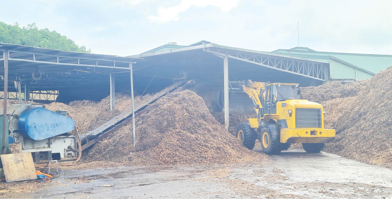 Quản lý hoạt động cơ sở thu mua gỗ keo tràm Trách nhiệm thuộc chính quyền địa phương