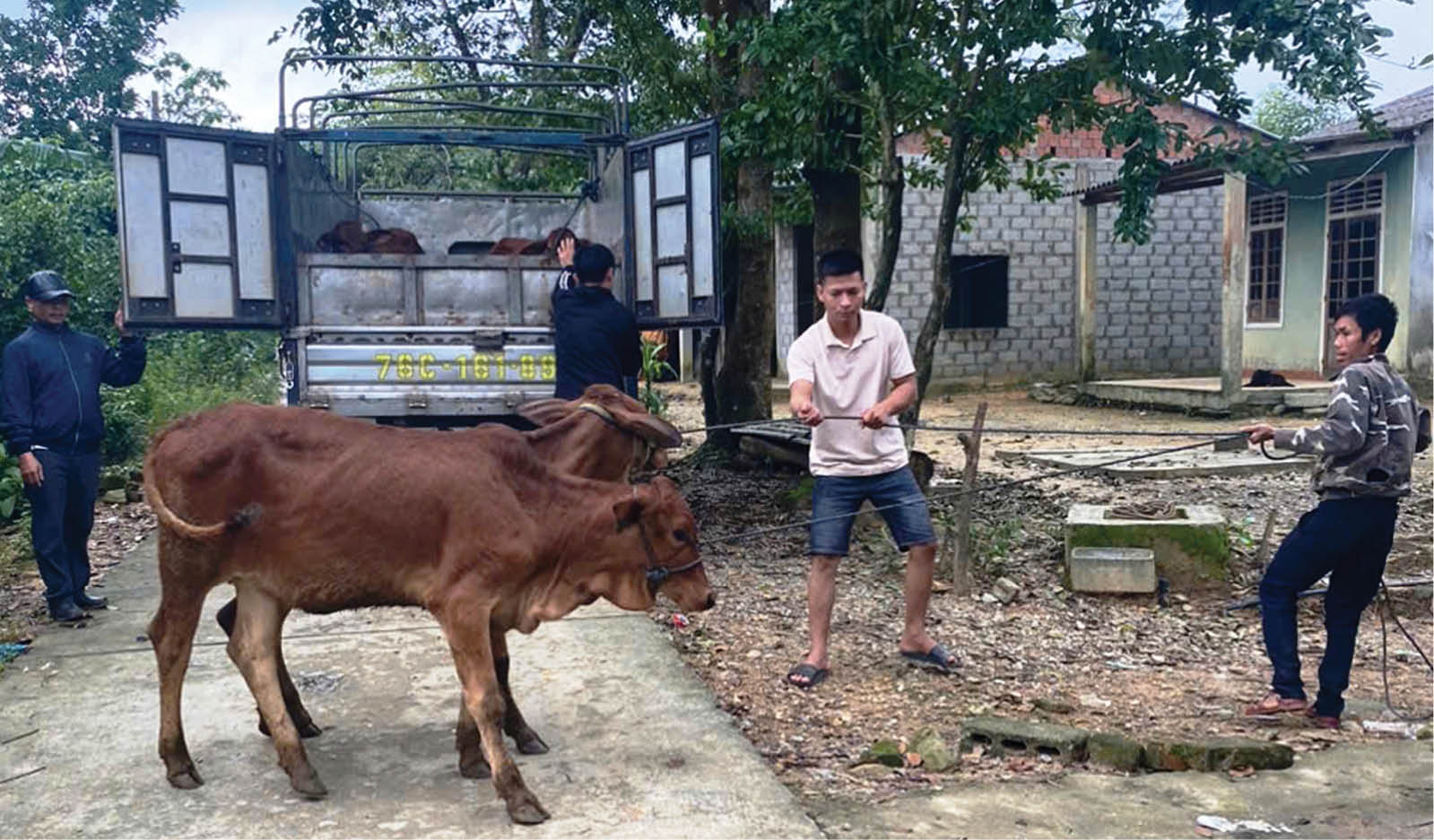 Đa dạng mô hình sinh kế giúp đỡ hộ nghèo