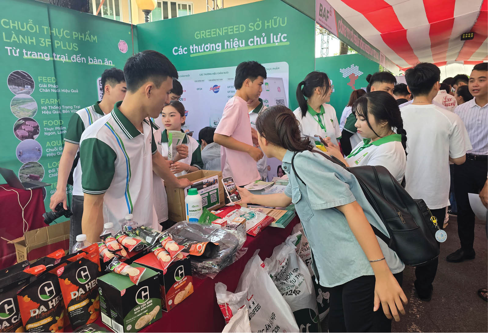 Nghị quyết 71 và tầm nhìn đột phá cho giáo dục