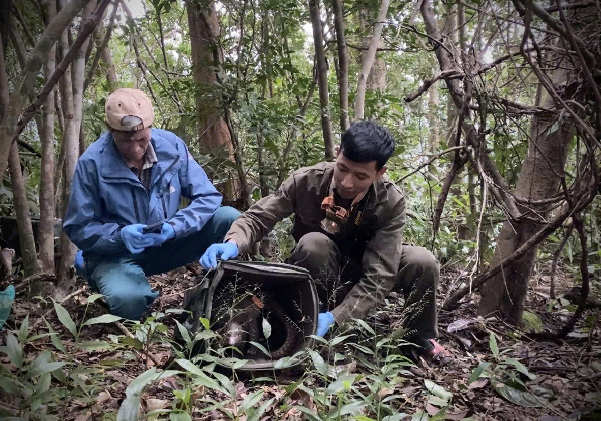 Tháo gỡ hơn 5 000 bẫy động vật ở Vườn Quốc gia Bạch Mã