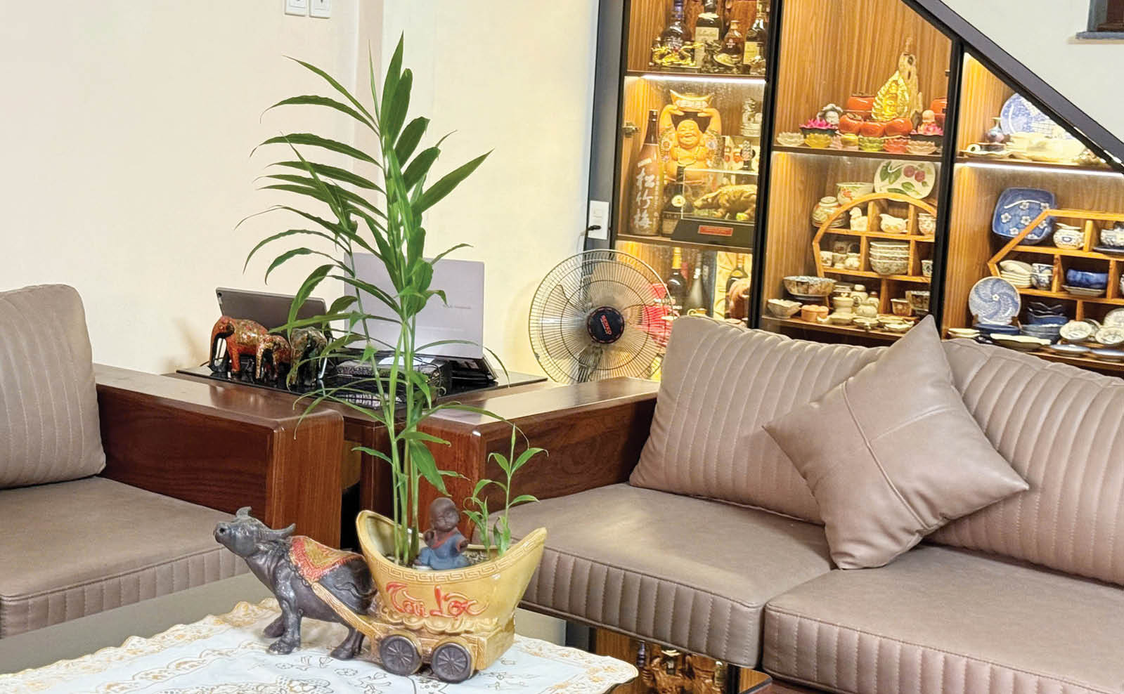 Gừng phong thủy lên ngôi