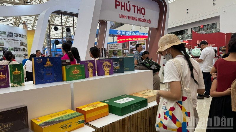 OECD Việt Nam duy trì nền tảng tăng trưởng tích cực trong giai đoạn 2026-2027