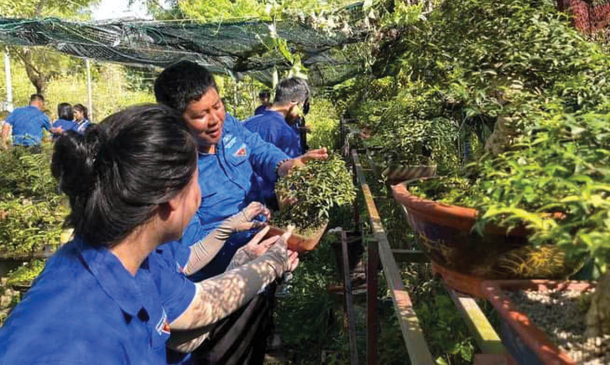 Người trẻ sản xuất, kinh doanh giỏi