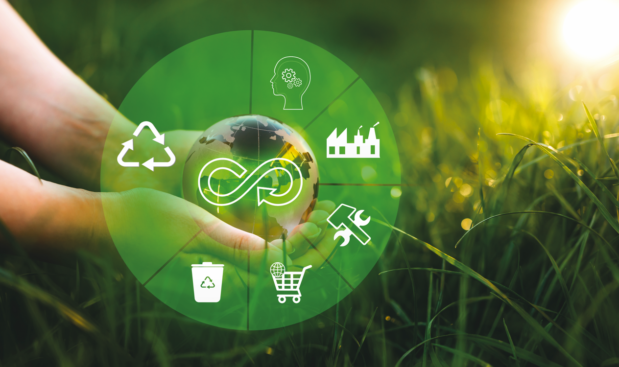 SPK Packaging - Hướng đi xanh cho ngành bao bì Việt Nam