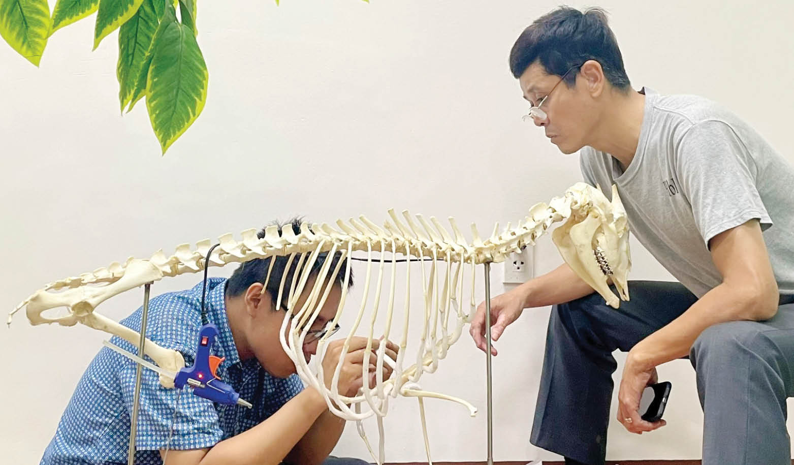 Hành trình hồi sinh mẫu vật Từ phòng chế tác đến không gian trưng bày