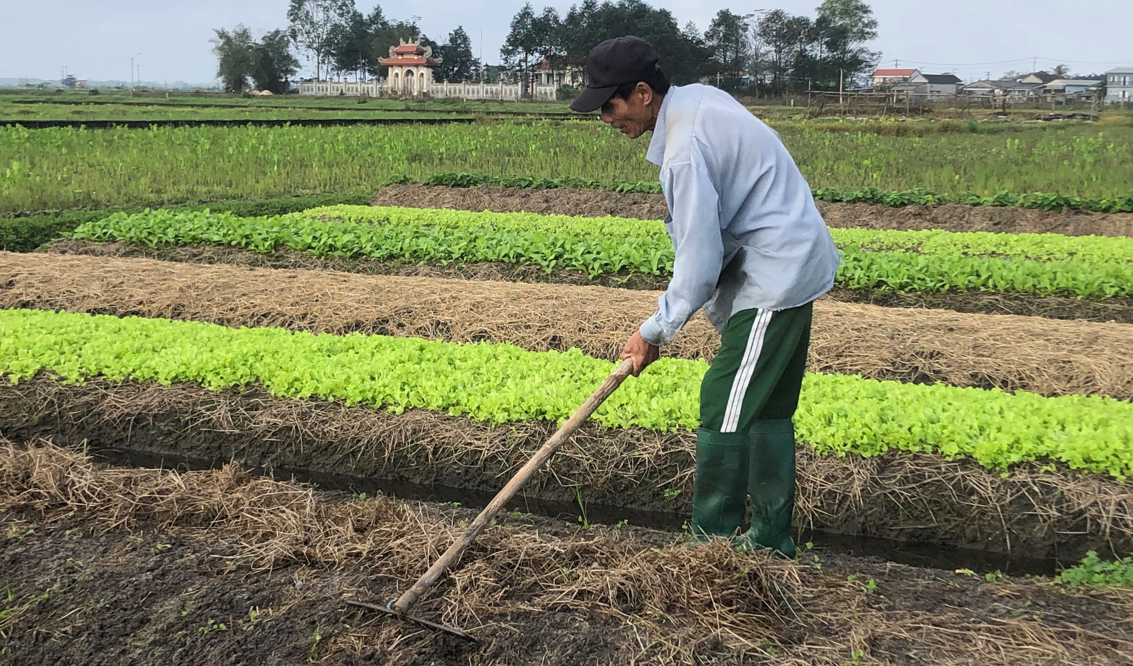 Khơi dậy ý thức vươn lên thoát nghèo
