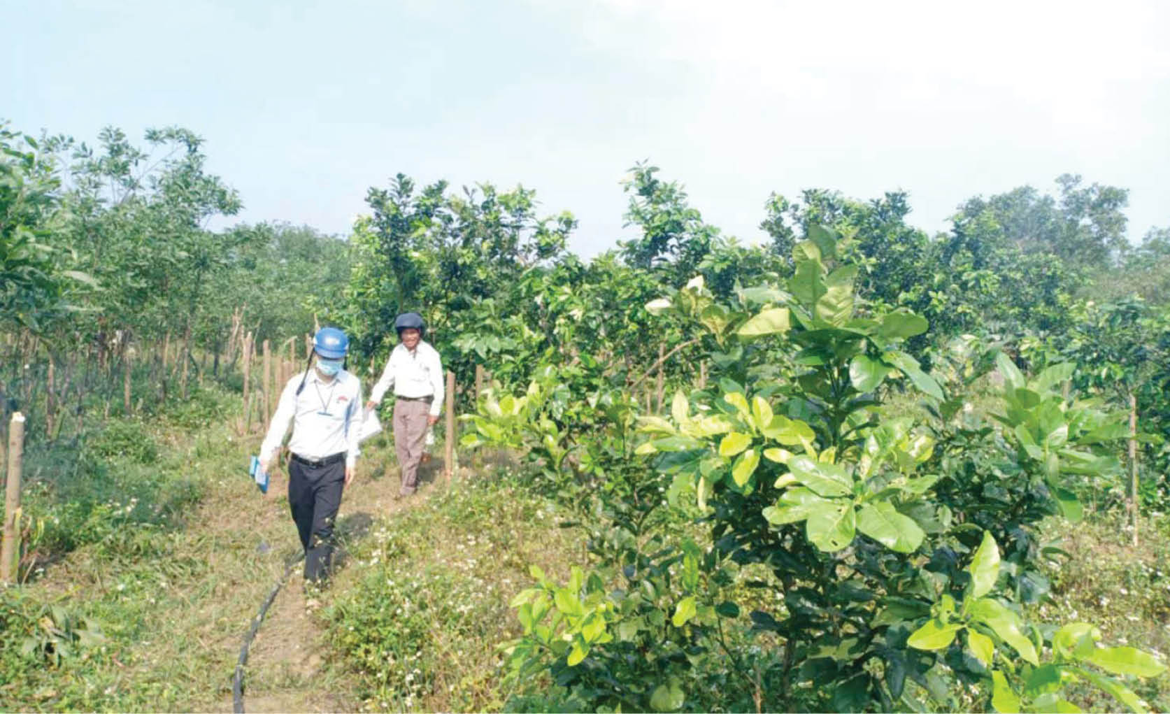 Chậm giải phóng mặt bằng mỏ đá vôi Phong Xuân