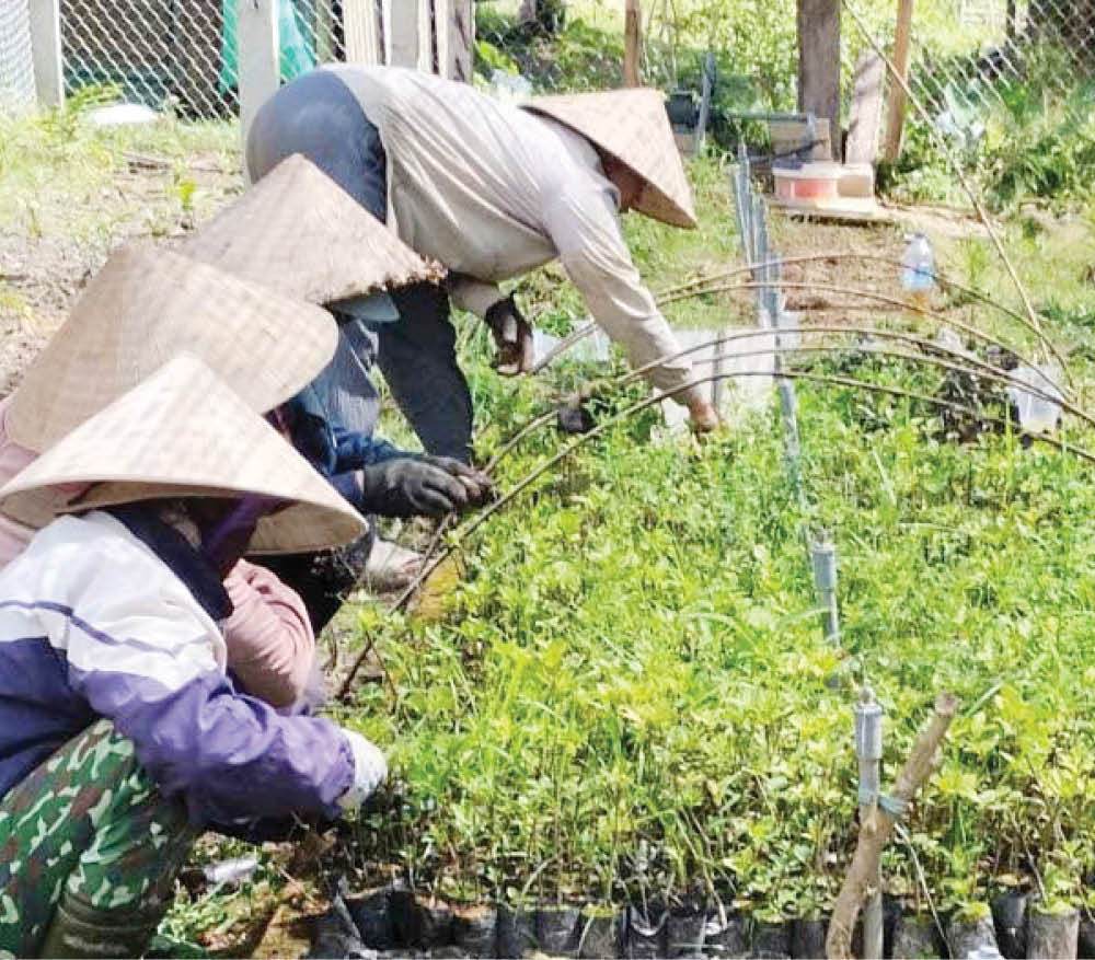 Sức sống mới của phụ nữ vùng cao