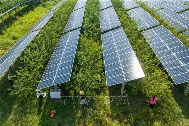 Kinh tế 2025, dự báo 2026 Năng lượng sạch - xu thế không thể đảo ngược