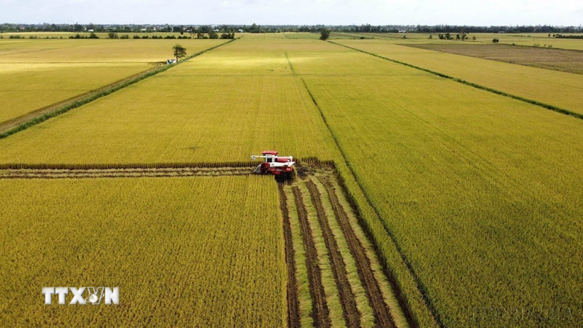 Hoàn thiện thể chế nông nghiệp, môi trường Gỡ điểm nghẽn, khơi thông nguồn lực