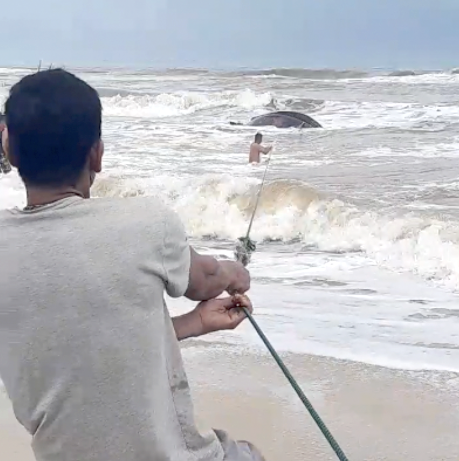 Kịp thời ứng cứu 2 ngư dân Quảng Trị bị lật thuyền nan trên biển Phong Phú