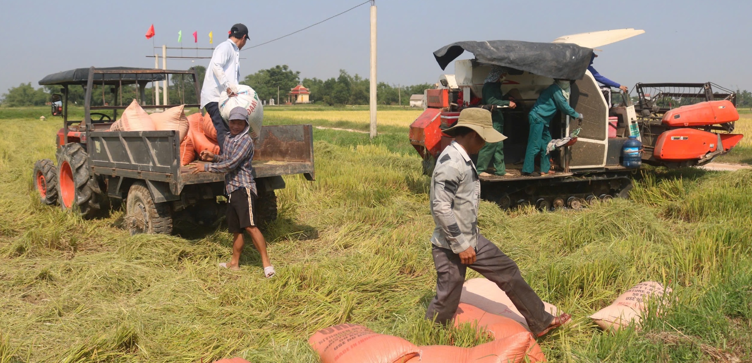 Hiệu quả từ Quỹ tín dụng nhân dân Điền Hòa