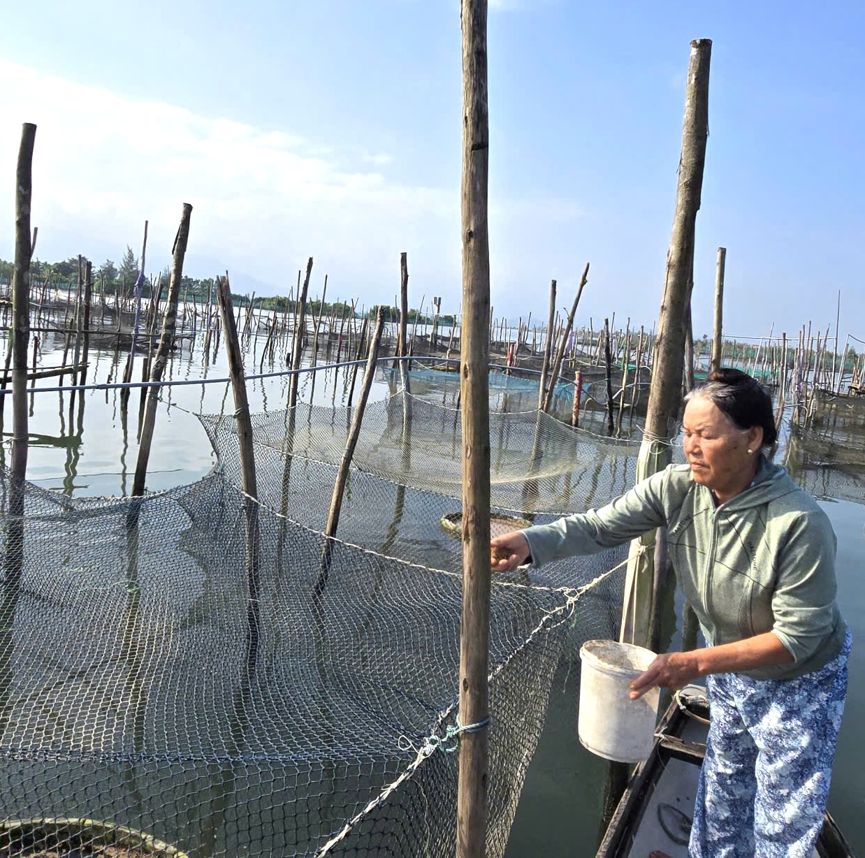 “Trao cần câu” thay vì “tặng con cá”