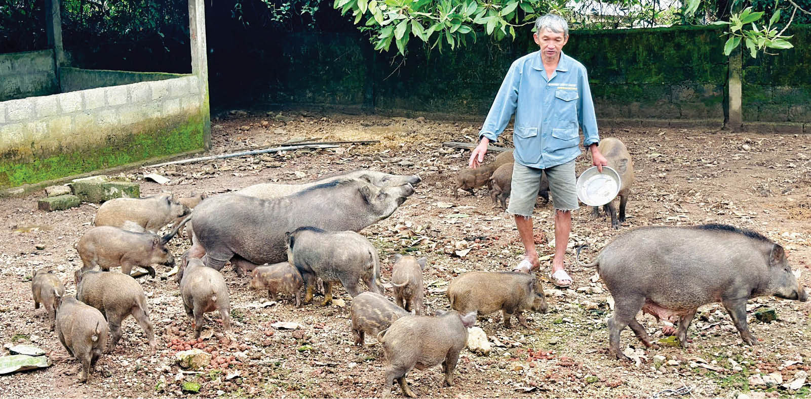 Thanh Thủy - nỗ lực ổn định sinh kế cho người dân