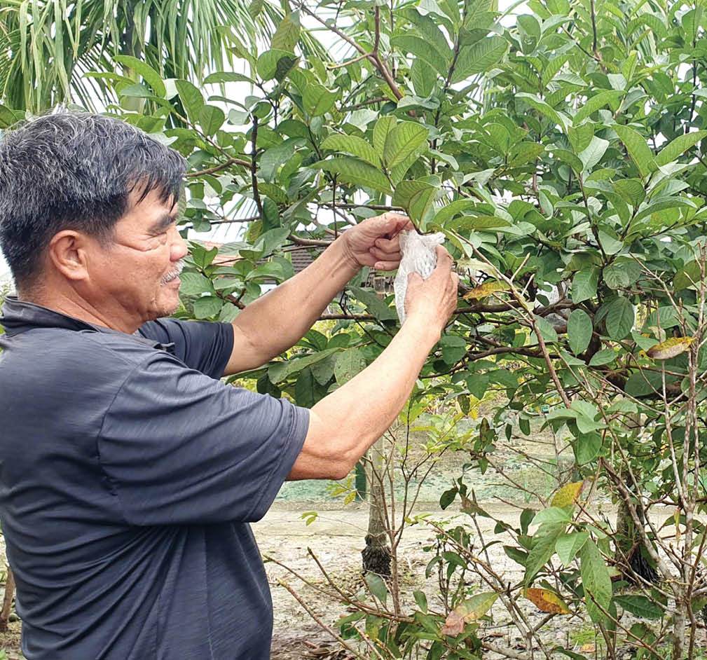 Giảm nghèo bền vững  những giải pháp căn cơ