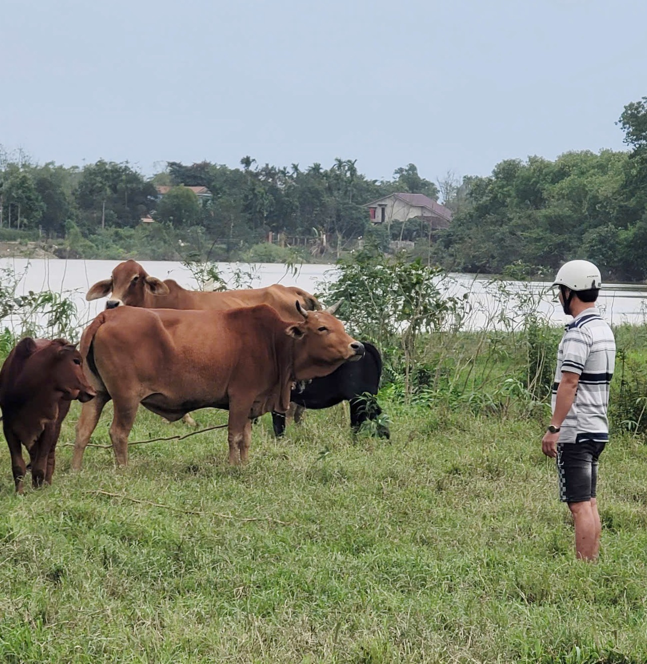 Phong Dinh chú trọng phát triển bền vững từ cơ sở