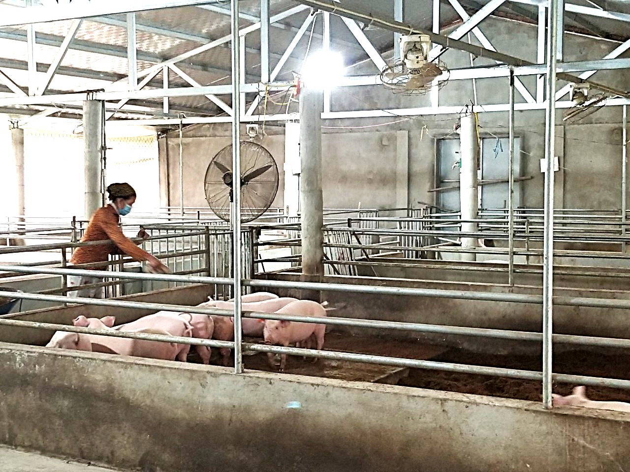 Kinh tế nông nghiệp tuần hoàn tạo sinh kế bền vững