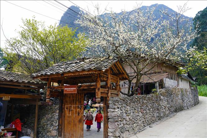 Du lịch Việt Nam 2025 Điểm sáng trong bức tranh tăng trưởng kinh tế, xã hội