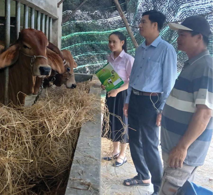 Nguồn lực giảm nghèo cho vùng khó