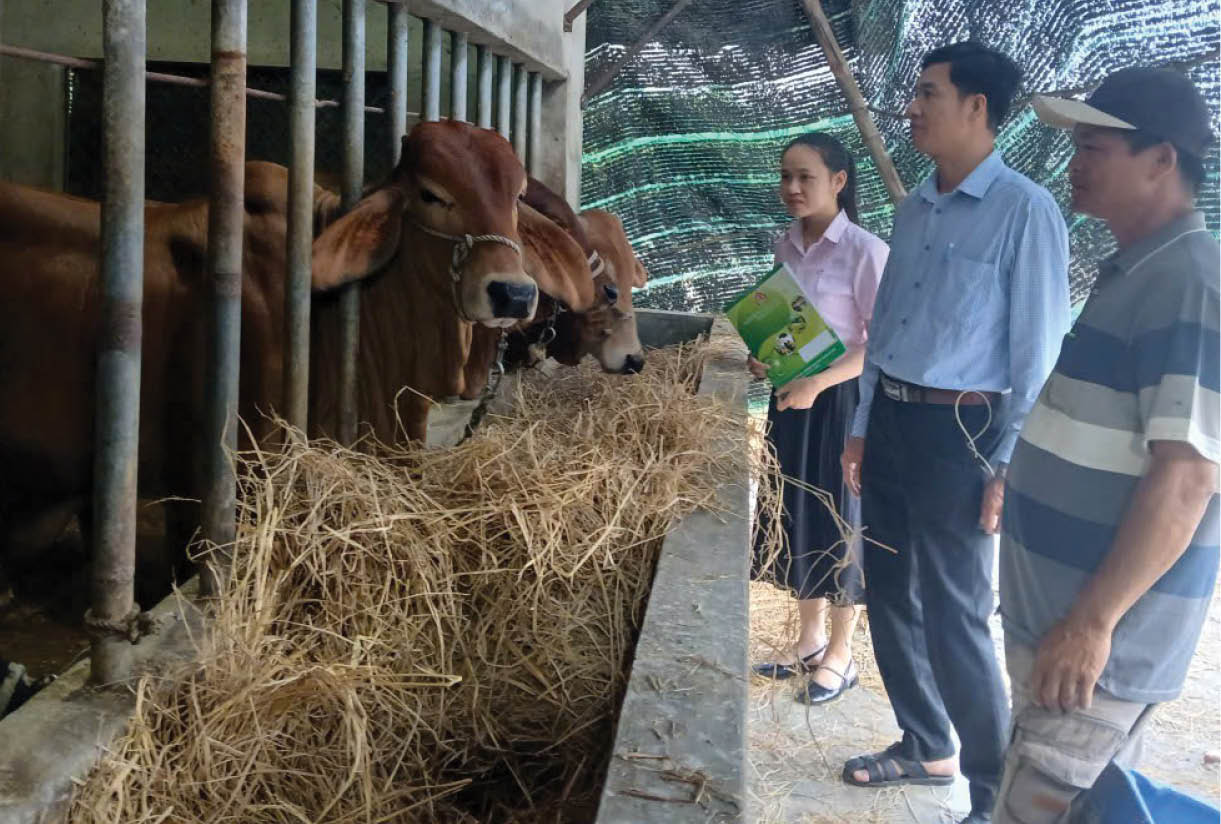 Nguồn lực giảm nghèo cho vùng khó