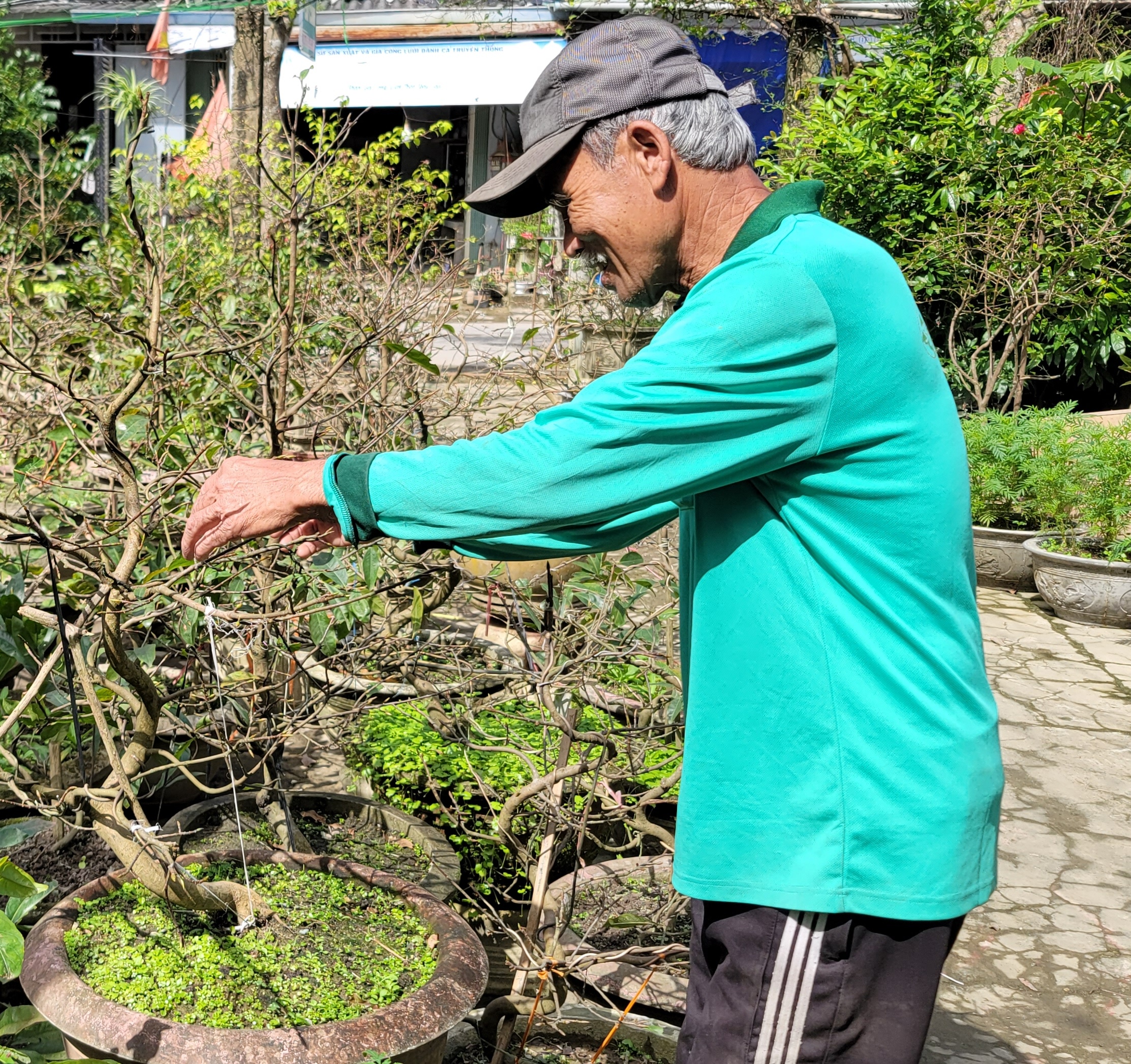 Phong Dinh Gắn phát triển kinh tế với an sinh xã hội
