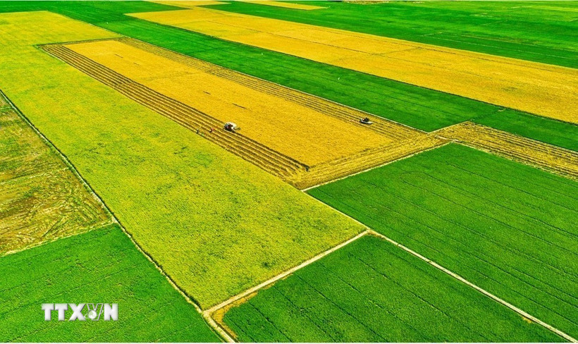 Ba Chương trình Mục tiêu Quốc gia tạo chuyển biến toàn diện vùng nông thôn