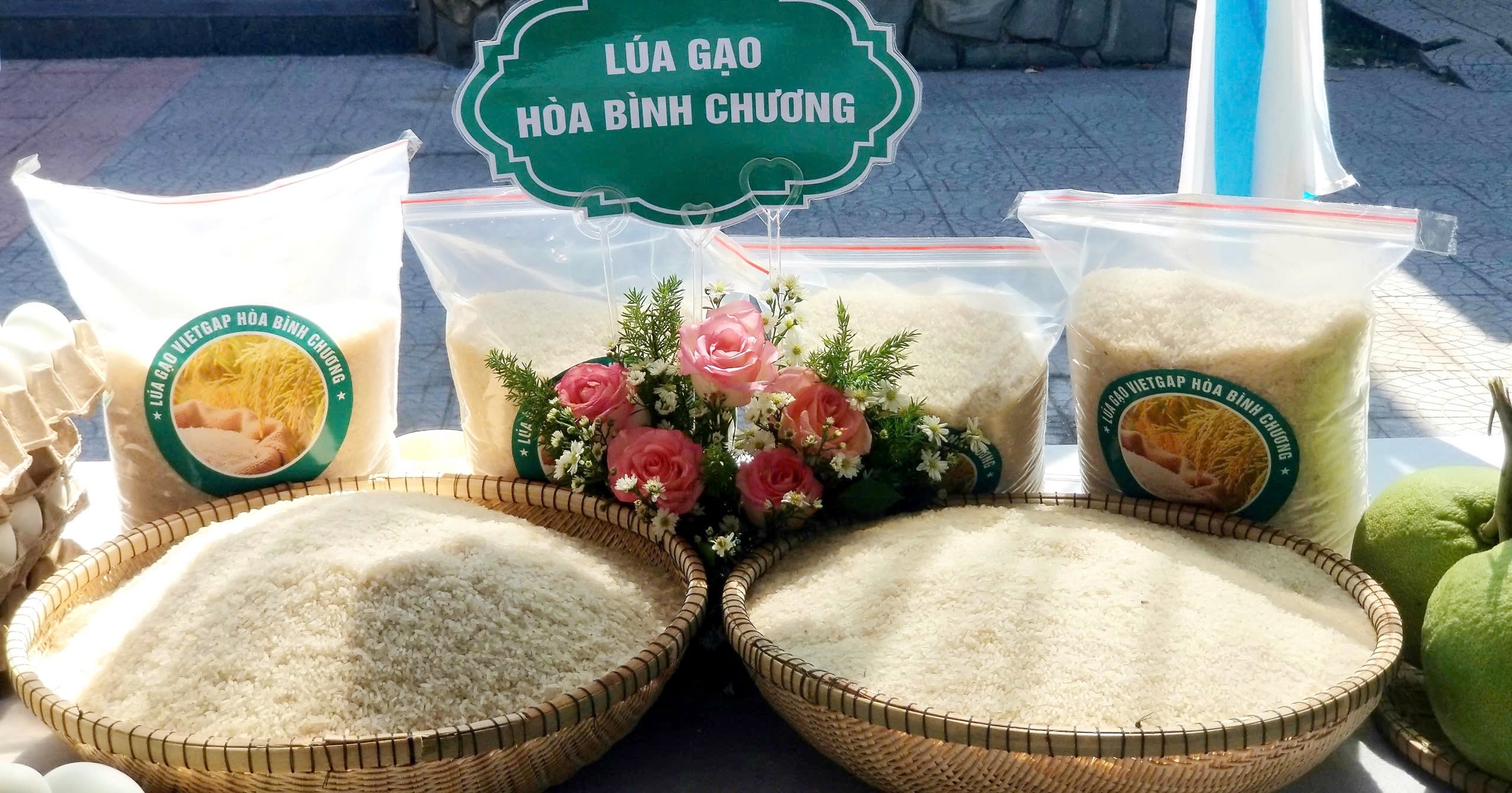 An cư vững, sinh kế bền