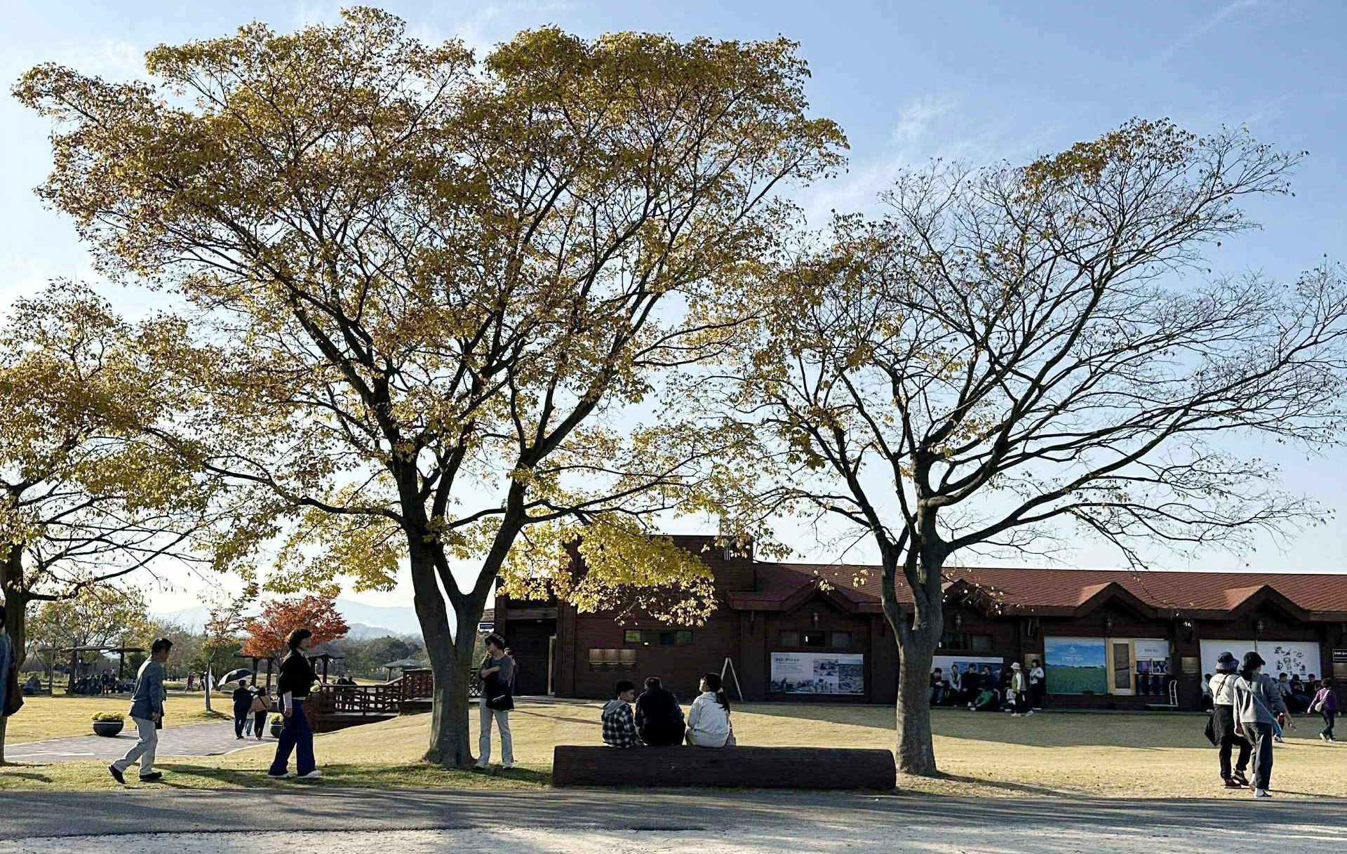 Trải nghiệm ở Vườn quốc gia Suncheon