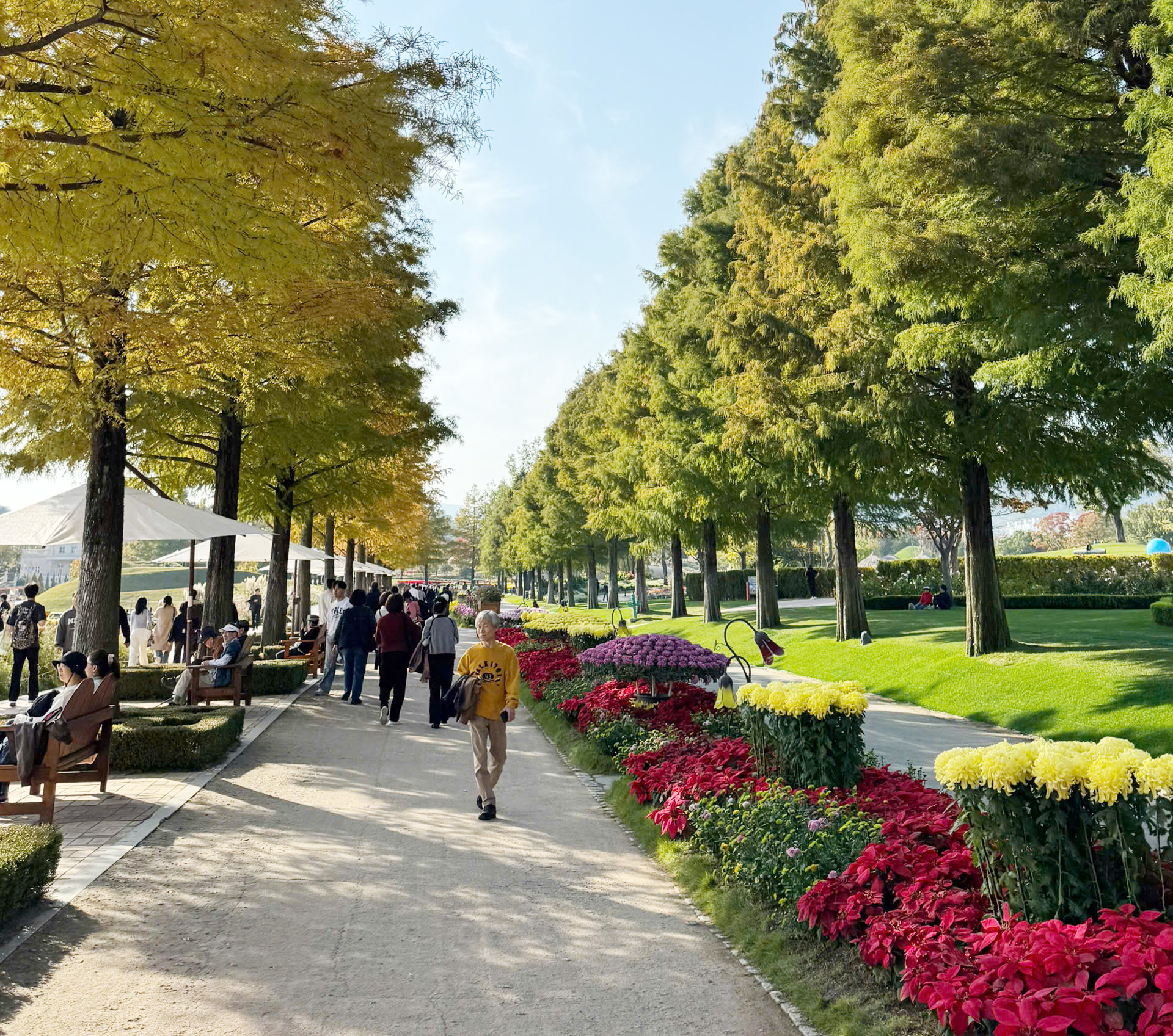 Trải nghiệm ở Vườn quốc gia Suncheon