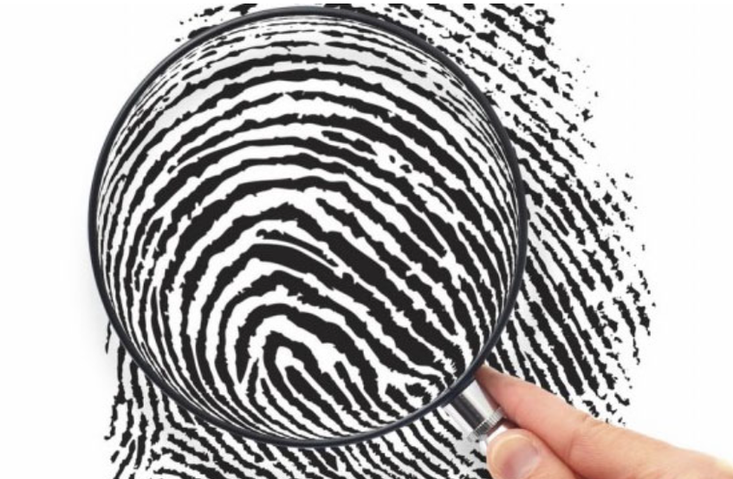 Nam Phi Lá dứa phế thải trở thành giải pháp xử lý ô nhiễm và điều tra vân tay