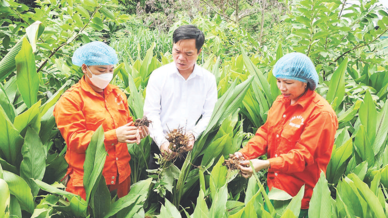 Chuẩn nghèo đa chiều quốc gia giai đoạn 2026-2030