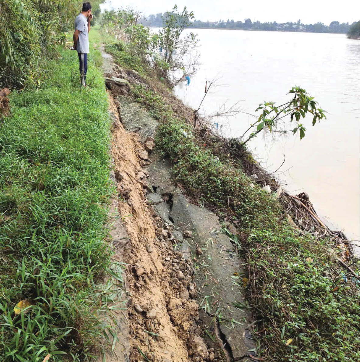 Sông Hương đoạn qua phường Dương Nỗ Cần sớm khắc phục tình trạng sạt lở