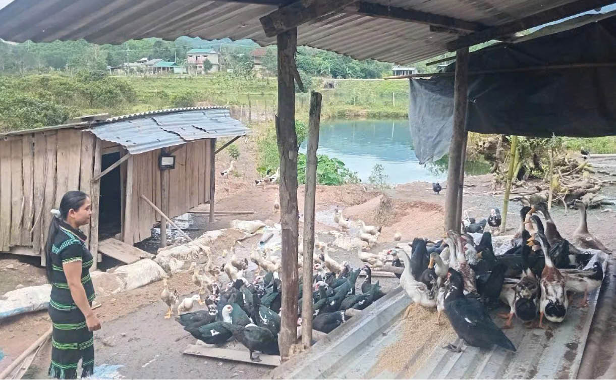 Tự tin làm chủ cuộc sống