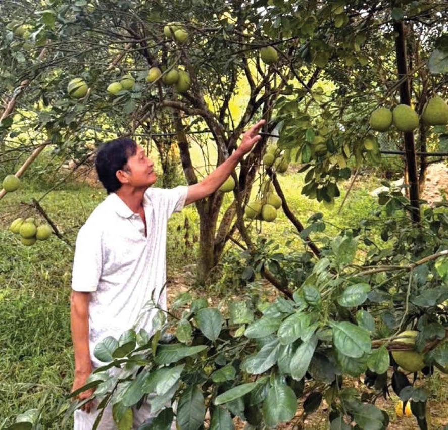 Vẹn nguyên phẩm chất “Bộ đội Cụ Hồ”