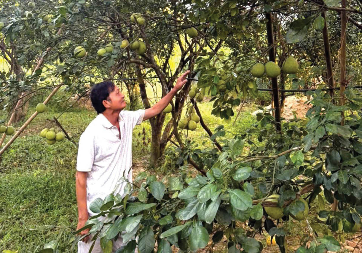 Vẹn nguyên phẩm chất “Bộ đội Cụ Hồ”