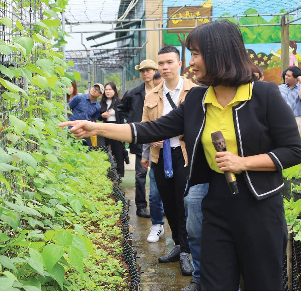 Nâng chất lượng và tính bền vững cho du lịch nông thôn