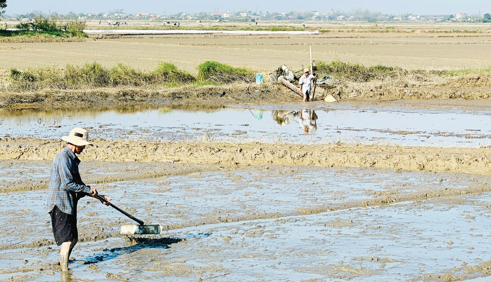 Khắc phục khó khăn, sản xuất vụ đông xuân đúng khung lịch thời vụ