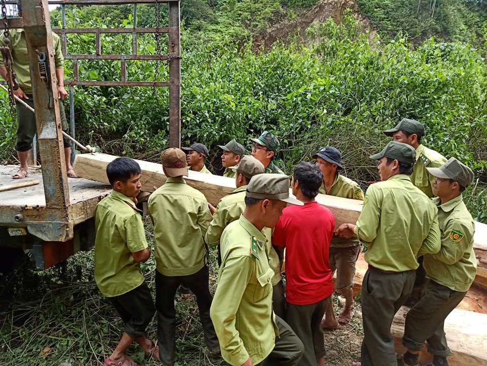 Tỷ lệ che phủ rừng đạt và vượt kế hoạch đề ra