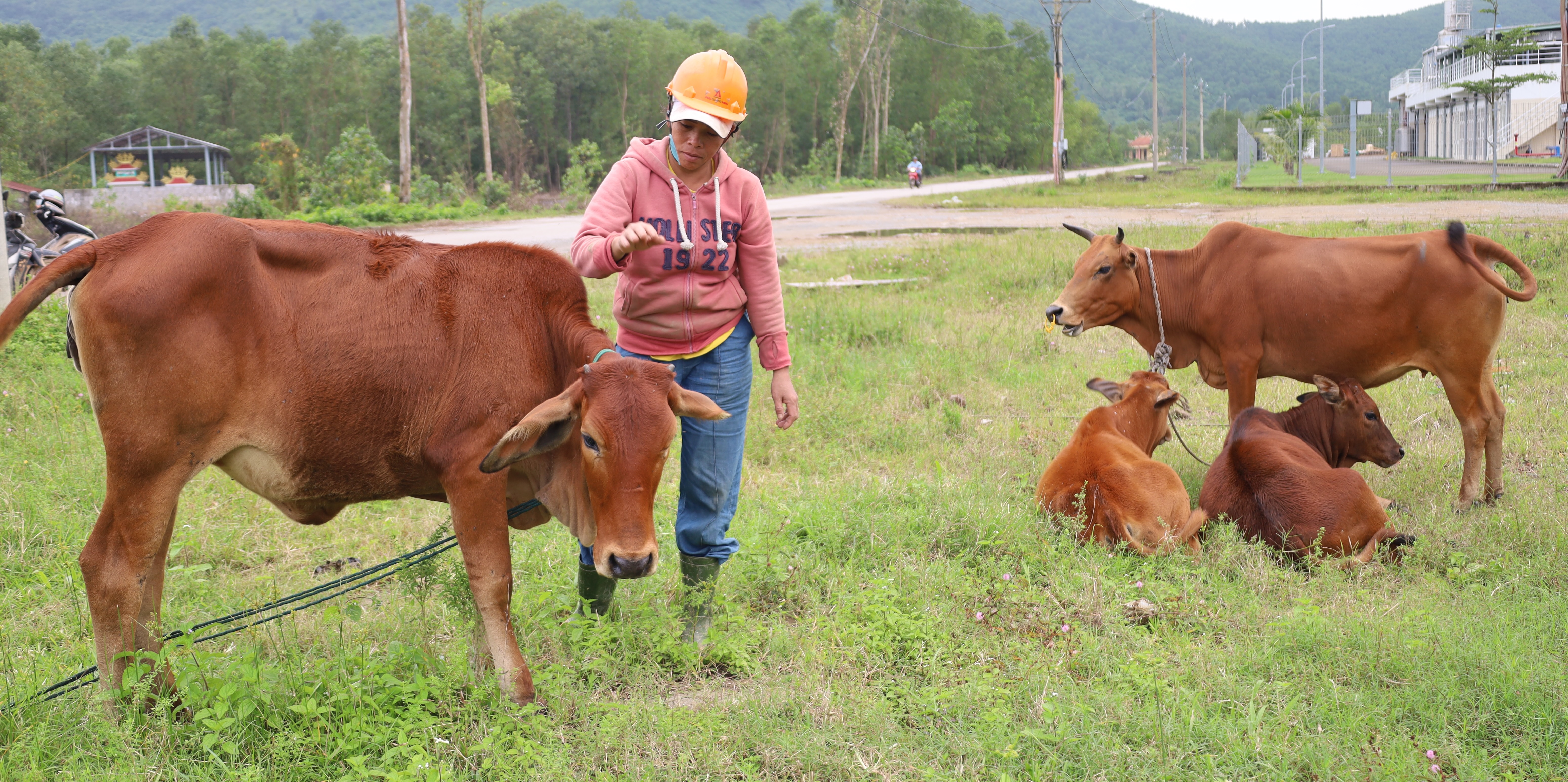 Điểm tựa từ dòng họ, thôn xóm
