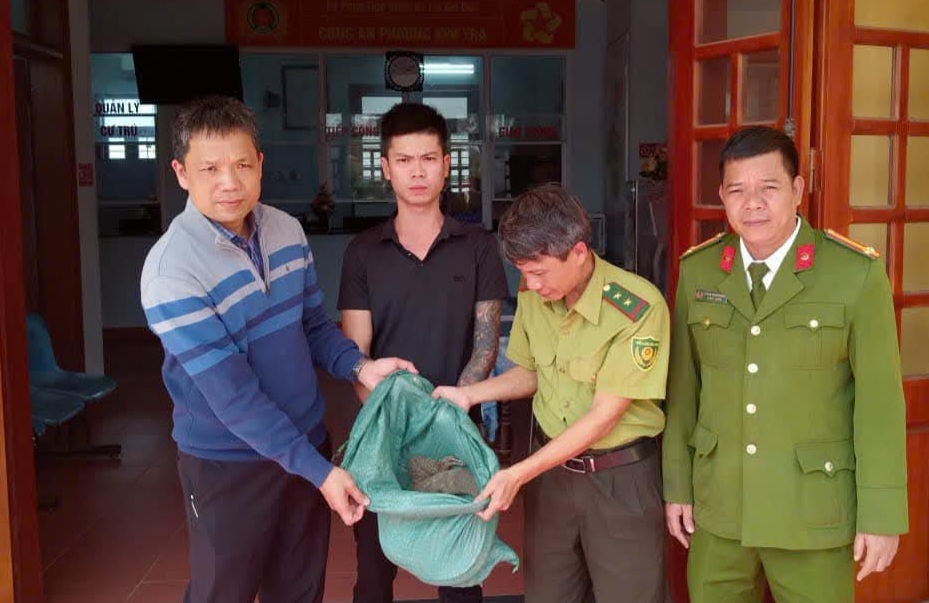 Tiếp nhận động vật rừng quý hiếm do người dân phường Kim Trà giao nộp