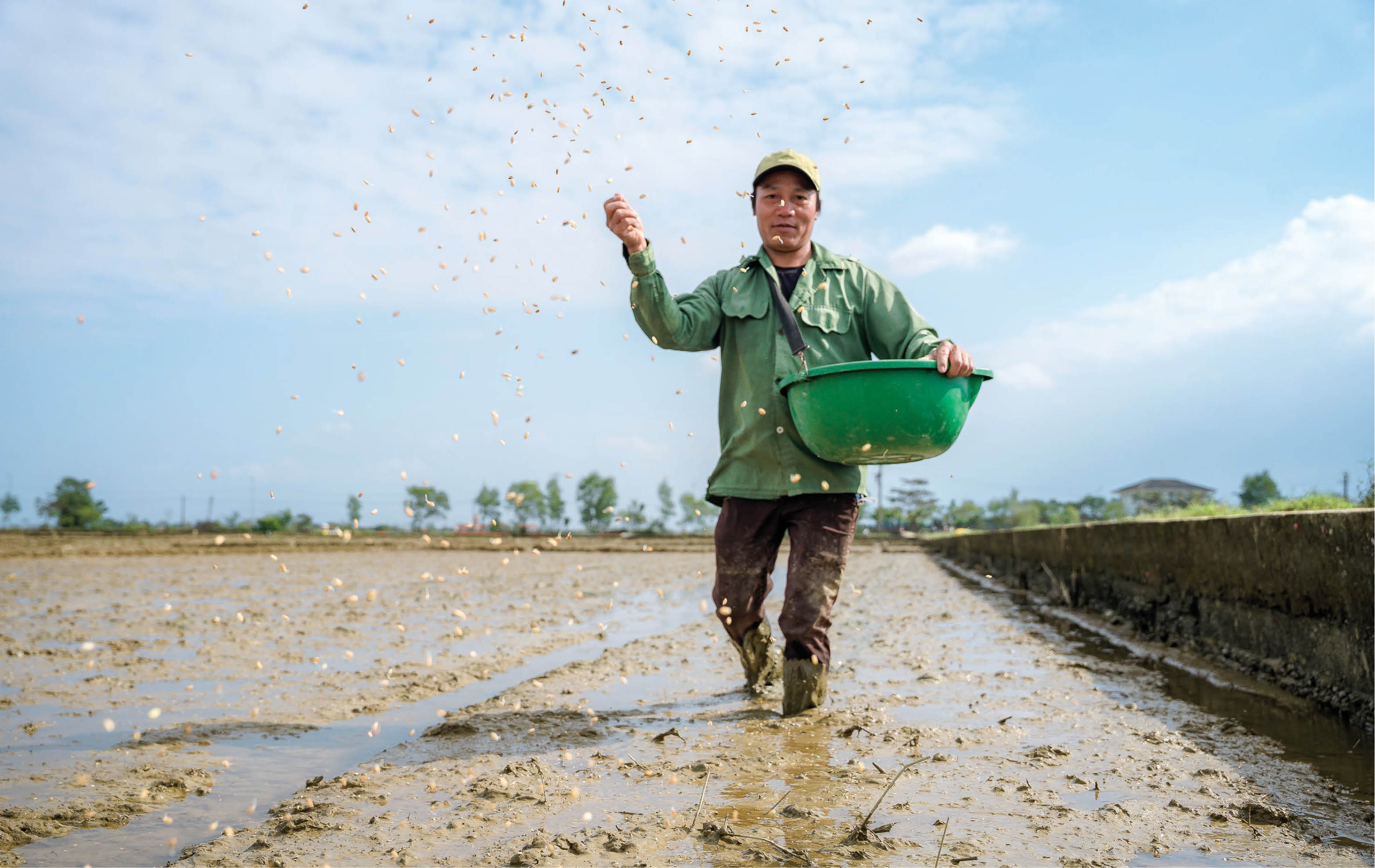 Đông xuân no ấm